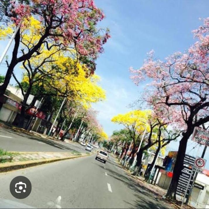 Posada Maria Elvia Villahermosa Eksteriør bilde